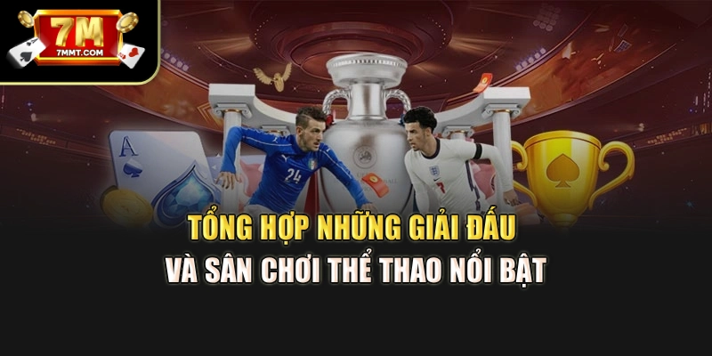 Tổng hợp những giải đấu và sân chơi thể thao nổi bật